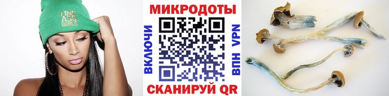 Псилоцибиновые грибы мицелий  где купить наркотик  Владивосток 
